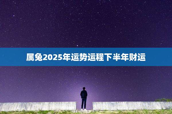 属兔2025年运势运程下半年财运