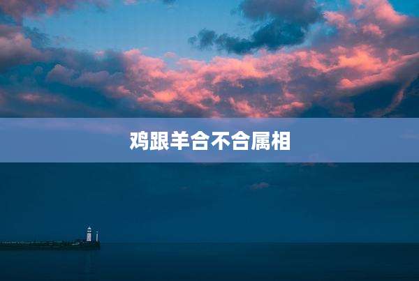 鸡跟羊合不合属相