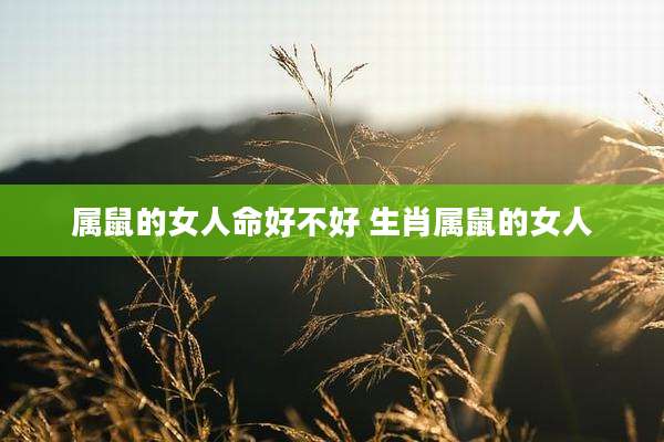 属鼠的女人命好不好 生肖属鼠的女人