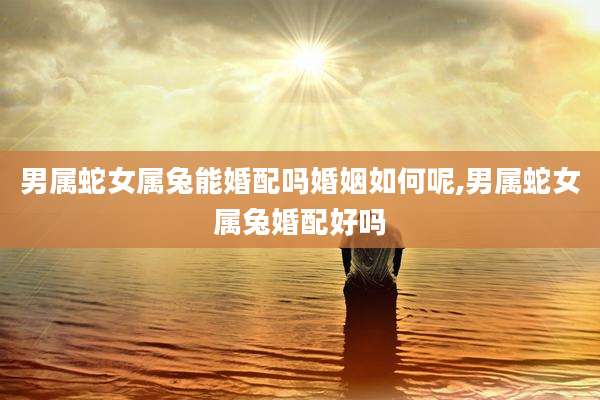 男属蛇女属兔能婚配吗婚姻如何呢,男属蛇女属兔婚配好吗