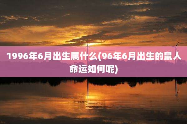 1996年6月出生属什么(96年6月出生的鼠人命运如何呢)