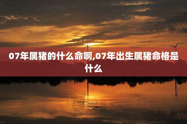 07年属猪的什么命啊,07年出生属猪命格是什么