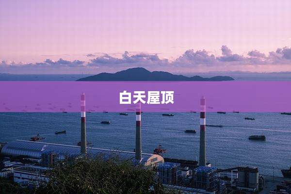 白天屋顶
