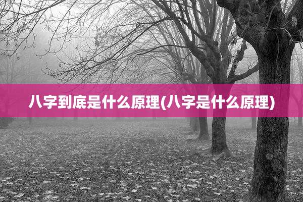 八字到底是什么原理(八字是什么原理)