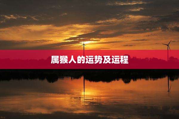 属猴人的运势及运程
