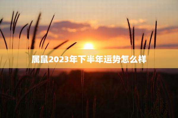 属鼠2023年下半年运势怎么样