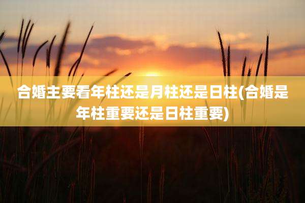 合婚主要看年柱还是月柱还是日柱(合婚是年柱重要还是日柱重要)