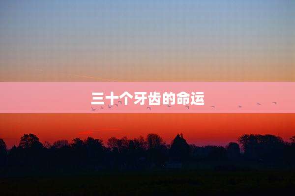 三十个牙齿的命运