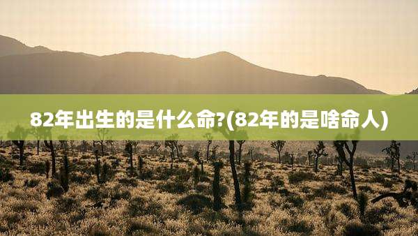 82年出生的是什么命?(82年的是啥命人)
