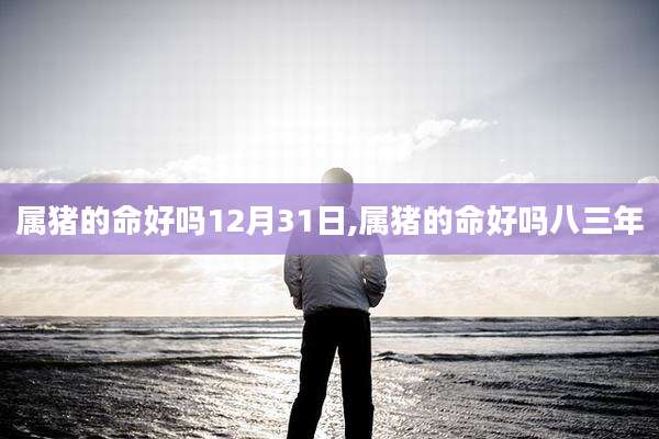 属猪的命好吗12月31日,属猪的命好吗八三年