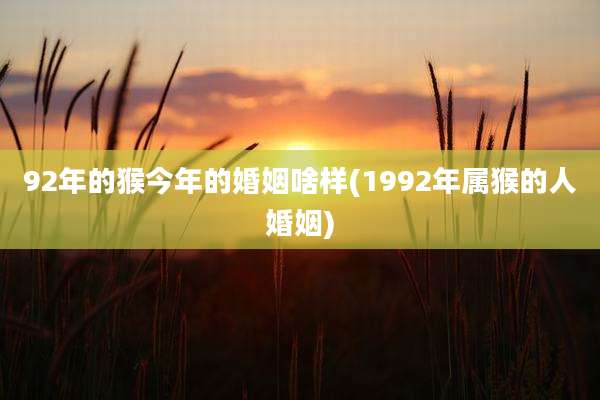 92年的猴今年的婚姻啥样(1992年属猴的人婚姻)