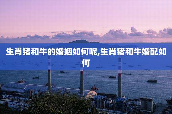 生肖猪和牛的婚姻如何呢,生肖猪和牛婚配如何