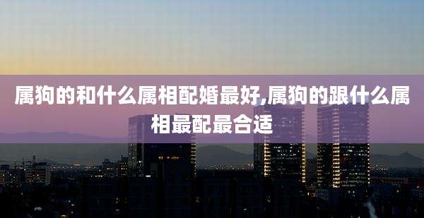 属狗的和什么属相配婚最好,属狗的跟什么属相最配最合适