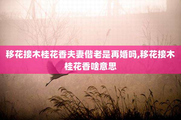 移花接木桂花香夫妻偕老是再婚吗,移花接木桂花香啥意思