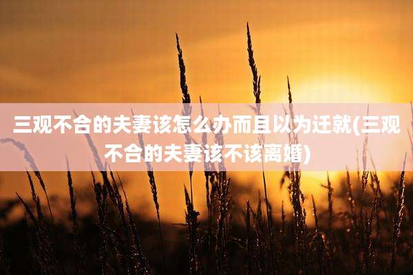 三观不合的夫妻该怎么办而且以为迁就(三观不合的夫妻该不该离婚)