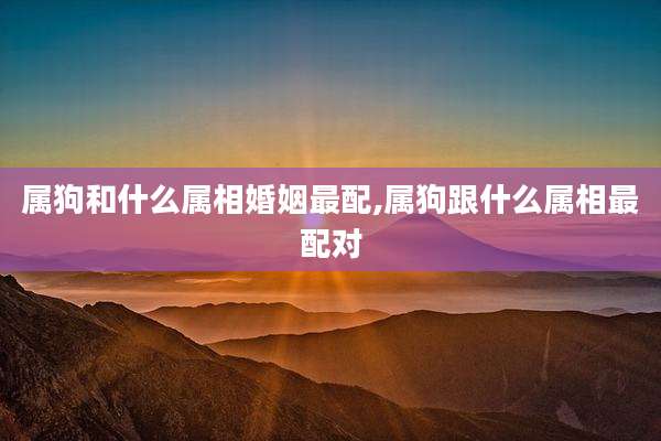 属狗和什么属相婚姻最配,属狗跟什么属相最配对
