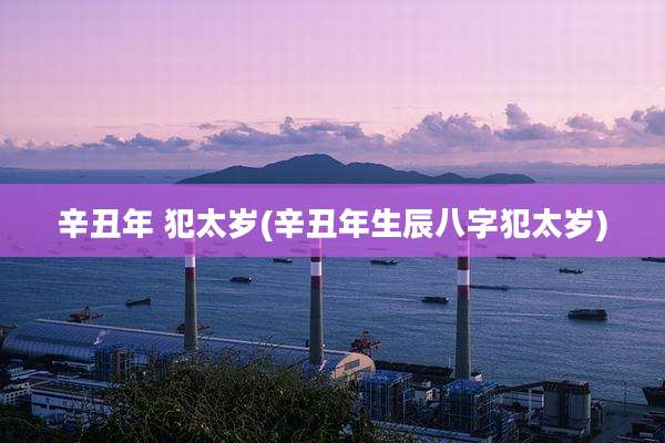 辛丑年 犯太岁(辛丑年生辰八字犯太岁)