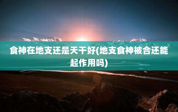 食神在地支还是天干好(地支食神被合还能起作用吗)