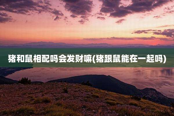 猪和鼠相配吗会发财嘛(猪跟鼠能在一起吗)