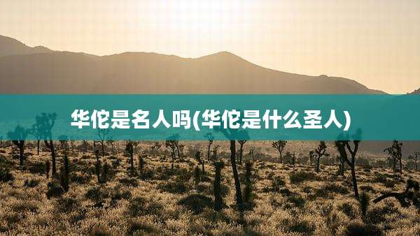 华佗是名人吗(华佗是什么圣人)