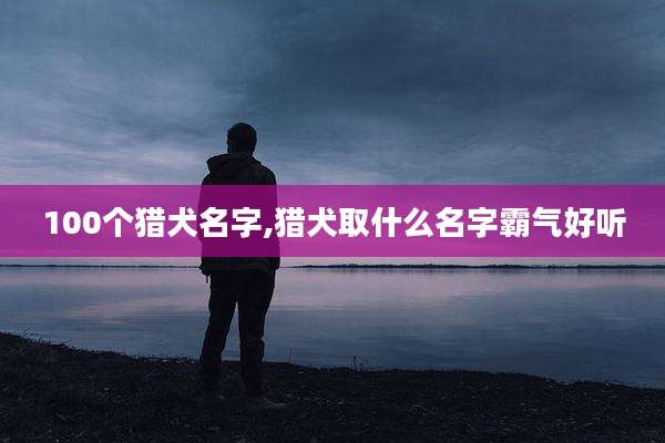 100个猎犬名字,猎犬取什么名字霸气好听