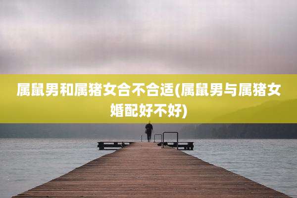 属鼠男和属猪女合不合适(属鼠男与属猪女婚配好不好)