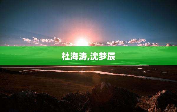 杜海涛,沈梦辰