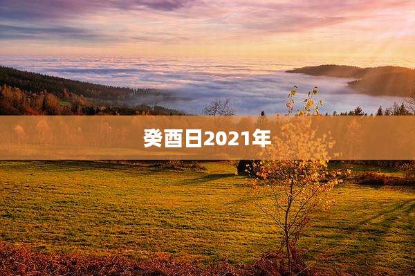 癸酉日2021年