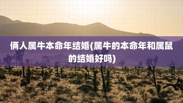 俩人属牛本命年结婚(属牛的本命年和属鼠的结婚好吗)