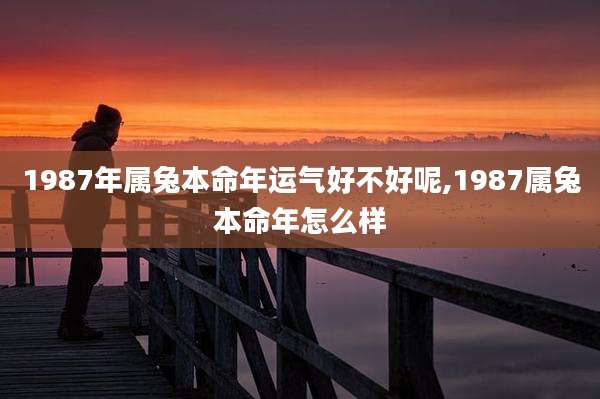 1987年属兔本命年运气好不好呢,1987属兔本命年怎么样