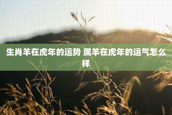 生肖羊在虎年的运势 属羊在虎年的运气怎么样