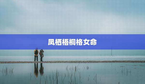凤栖梧桐格女命
