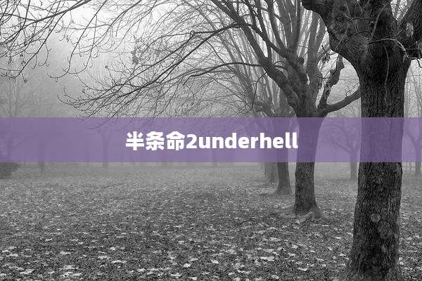 半条命2underhell