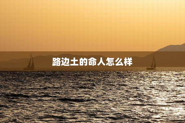 路边土的命人怎么样