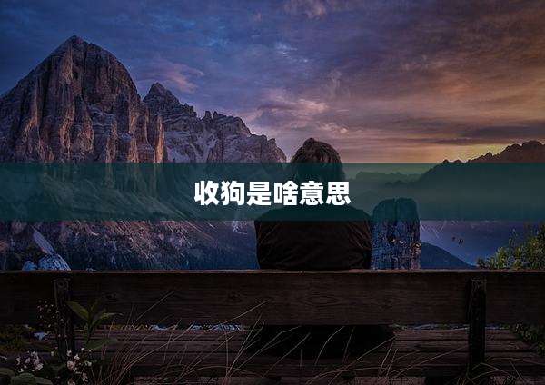 收狗是啥意思