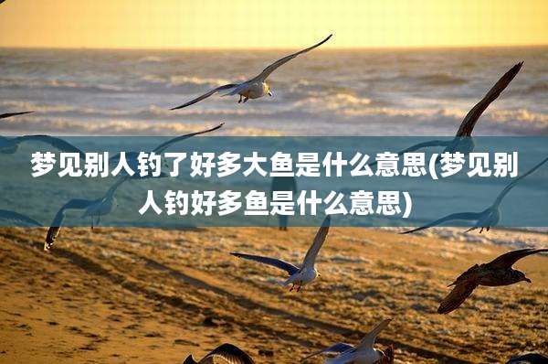 梦见别人钓了好多大鱼是什么意思(梦见别人钓好多鱼是什么意思)