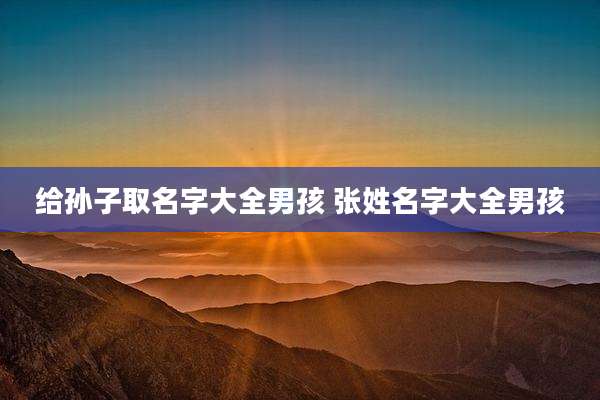 给孙子取名字大全男孩 张姓名字大全男孩