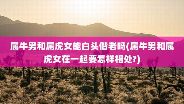 属牛男和属虎女能白头偕老吗(属牛男和属虎女在一起要怎样相处?)