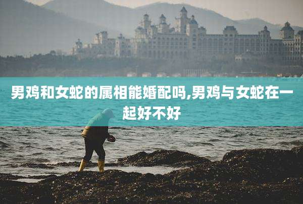 男鸡和女蛇的属相能婚配吗,男鸡与女蛇在一起好不好