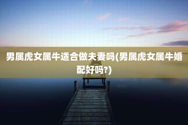 男属虎女属牛适合做夫妻吗(男属虎女属牛婚配好吗?)