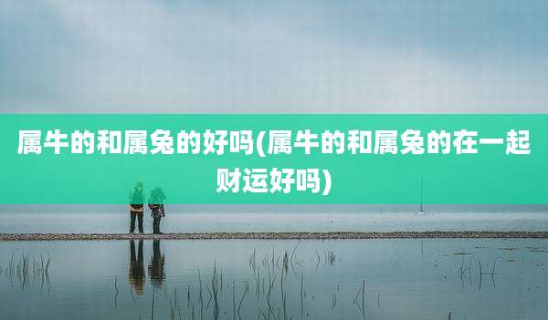 属牛的和属兔的好吗(属牛的和属兔的在一起财运好吗)