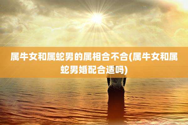 属牛女和属蛇男的属相合不合(属牛女和属蛇男婚配合适吗)