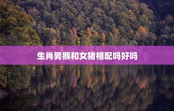 生肖男猴和女猪相配吗好吗