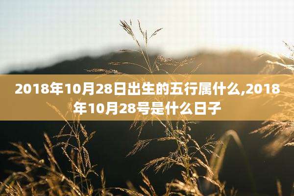 2018年10月28日出生的五行属什么,2018年10月28号是什么日子