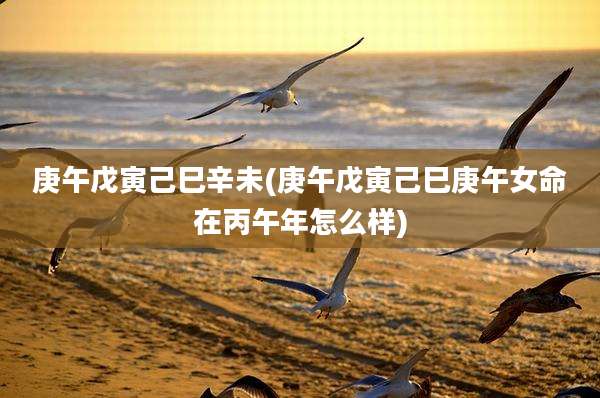 庚午戊寅己巳辛未(庚午戊寅己巳庚午女命在丙午年怎么样)
