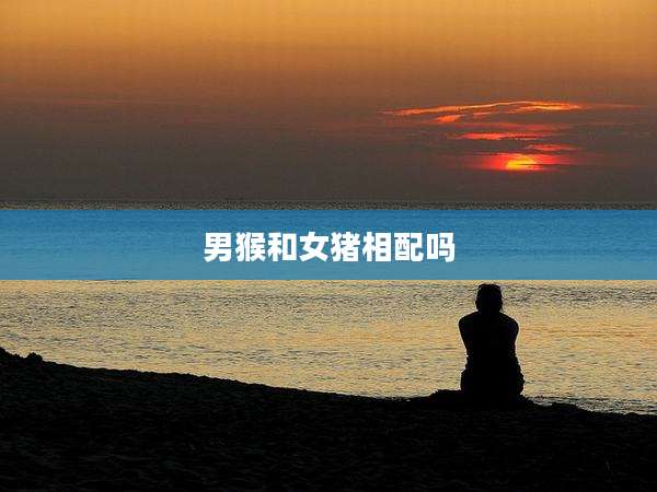 男猴和女猪相配吗