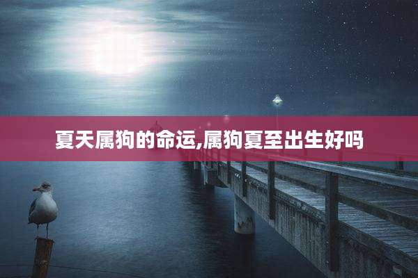 夏天属狗的命运,属狗夏至出生好吗