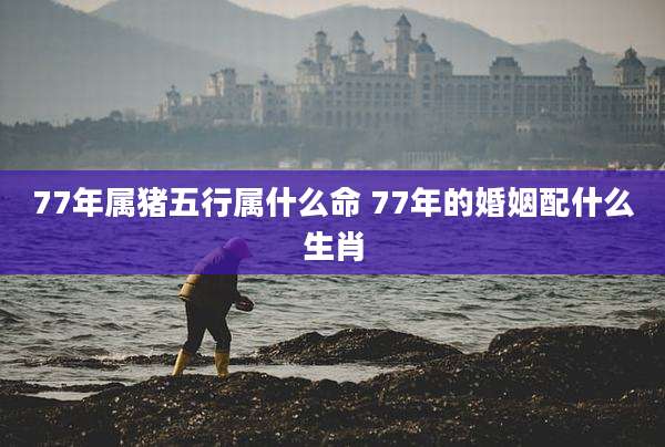 77年属猪五行属什么命 77年的婚姻配什么生肖