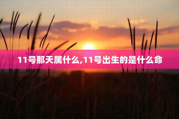 11号那天属什么,11号出生的是什么命