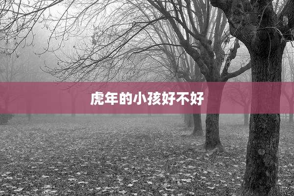 虎年的小孩好不好